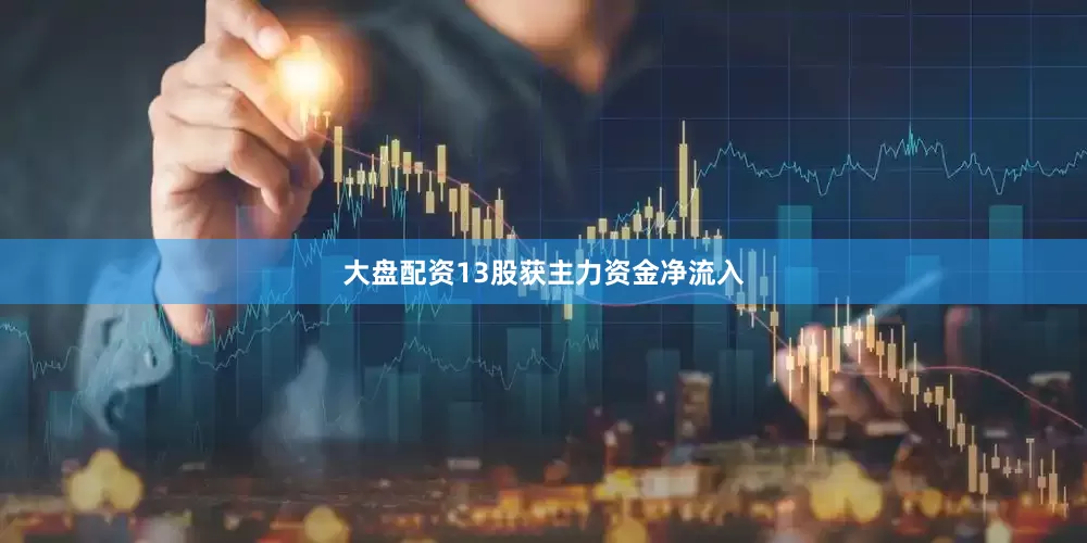 大盘配资13股获主力资金净流入