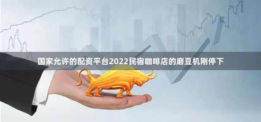 国家允许的配资平台2022民宿咖啡店的磨豆机刚停下